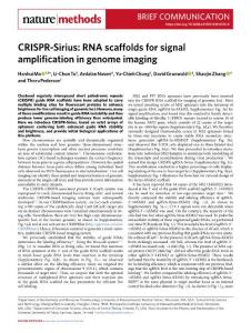 nmeth.2018-CRISPR-Sirius- RNA scaffolds for signal amplification in genome imaging