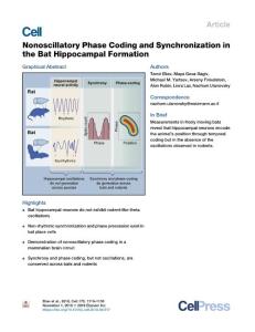 Nonoscillatory-Phase-Coding-and-Synchronization-in-the-Bat-Hippocam_2018_Cell-1