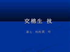 棉花生產技術_PPT課件
