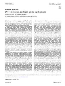 cr.2018-DH44 neurons- gut-brain amino acid sensors