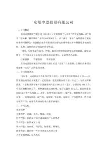 實用電器股份有限公司網絡營銷方案實訓總結