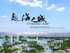 杭州湾新城北部地块板块分区规划和城市设计——HASELL