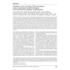 Mutations-in-PIGS--Encoding-a-GPI-Transamidase--Cause-a_2018_The-American-Jo