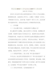 審計局2018年工作總結及2019年工作打算