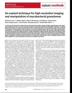 nmeth.2018-An explant technique for high-resolution imaging and manipulation of mycobacterial granulomas