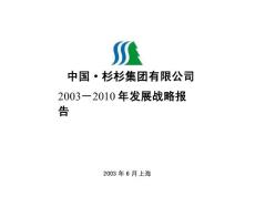 人资规划专题-中国杉杉集团2003-2010年发展战略报告.docx