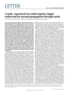 nature.2018-A male-expressed rice embryogenic trigger redirected for asexual propagation through seeds-letter