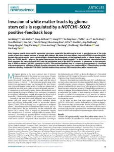 nn.2019-Invasion of white matter tracts by glioma stem cells is regulated by a NOTCH1–SOX2 positive-feedback loop