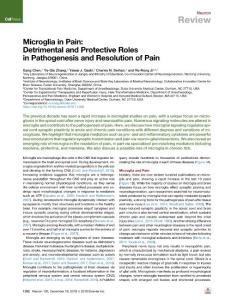 Microglia-in-Pain--Detrimental-and-Protective-Roles-in-Pathogenesi_2018_Neur