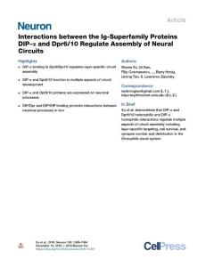 Interactions-between-the-Ig-Superfamily-Proteins-DIP---and-Dpr6-10-_2018_Neu