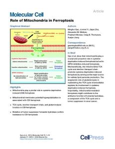 Role-of-Mitochondria-in-Ferroptosis_2018_Molecular-Cell