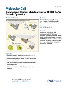 Bidirectional-Control-of-Autophagy-by-BECN1-BARA-Domain-Dy_2018_Molecular-Ce