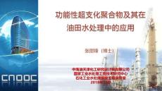 功能性超支化聚合物的合成及其在水處理中的應用