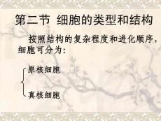 原核真核細胞膜細胞壁