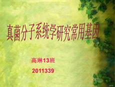 植物病理小片段基因在真菌分類中的應(yīng)用