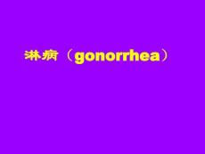 淋病讲座教学PPT课件