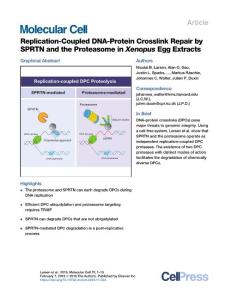 Replication-Coupled-DNA-Protein-Crosslink-Repair-by-SPRTN-and-_2018_Molecula
