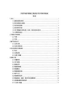 天然气输气管道工程项目可行性研究报告