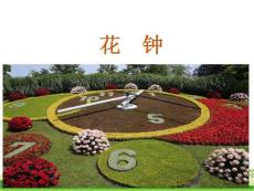 部编人教版小学三年级下册语文 13 《花钟》 ppt