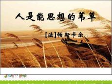 浙江省杭州二中东河校区高中语文《人是能思想的苇草课件》