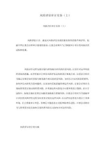 風險評估審計實務(wù)（上）