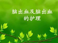 脑出血与脑出血护理