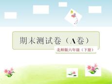 北師版6語文下冊期末測試卷（A卷）