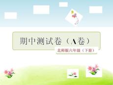 北師版6語文下冊期中測試卷（A卷）