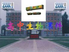 種群的數(shù)量變化課件1