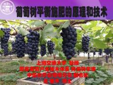 王世平-葡萄树平衡施肥的原理和技术