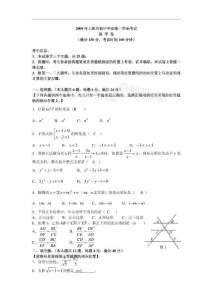2009年上海中考数学试题及答案