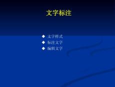 文字標(biāo)注111