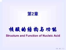 2011-5-年制-第02章核酸的结构与功能