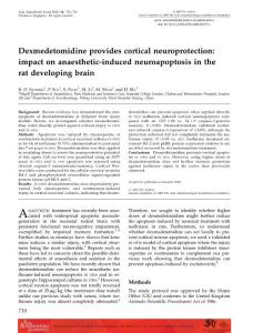 Dexmedetomidine provides cortical neuroprotection impact on anaesthetic-induced neuroapoptosis in the rat developing brain
