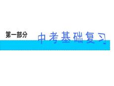 2010年中考化學總復習課件  溶液、酸堿鹽、化肥  第13講  溶液的酸堿度