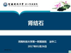 肾结石ppt课件
