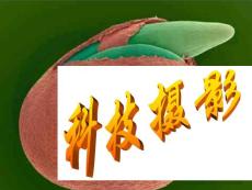 显微摄影