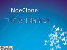分子克隆软件NoeClone操作流程中文版