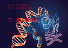 生物：《基因的表达》课件