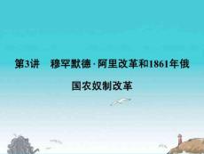 《金版新学案》高中历史一轮复习 第3讲 穆罕默德·阿里改革和1861年俄国农奴制改革课件 人民版选修1　