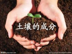 苏教版2019小学三年级上册科学课件-4 土壤的成分 (共22张PPT)