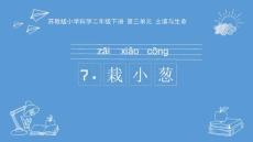 部编苏教版小学二年级下册科学《栽小葱》PPT课件9