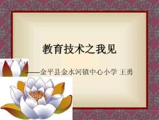 教育技術(shù)之我見