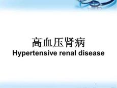高血压肾病ppt演示课件