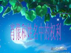 肖像和姓名中的權(quán)利