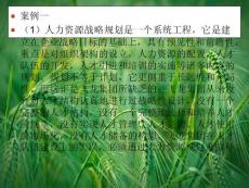 (1)人力资源战略规划是一个系统工程(ppt 99).ppt