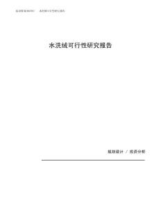 水洗绒可行性研究报告（总投资14000万元）（61亩）