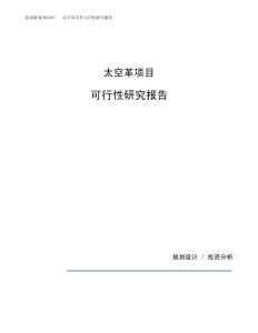 太空革项目可行性研究报告（总投资9000万元）（37亩）