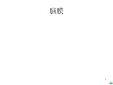 硬膜外腔ppt课件