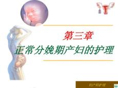 正常分娩期产妇的护理ppt课件